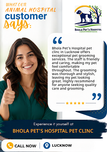 Bhola Pet's Hospital offers professional pet grooming services to keep your pets healthy and look… post image