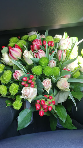 Der Holländer Blumenladen - Thumbnail