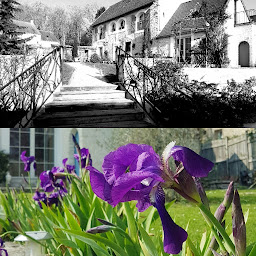 Photo n°16 de La Bergerie-en-Vexin 78 Jambville : Location gîte et chambres d'hôtes. Piscine chauffée. Parc naturel du Vexin à Jambville (Piscine)