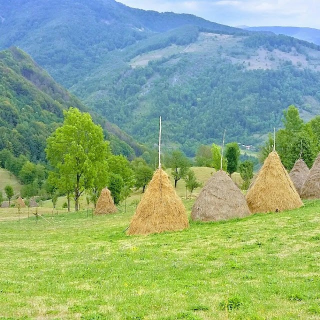 Domogled Valea Cernei National Park
