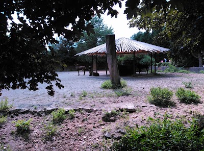 Photos of Dvůr Kr&aacute;lov&eacute; Zoo