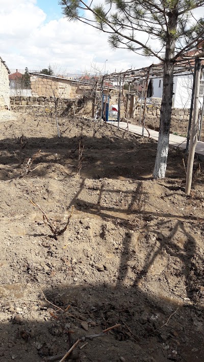 Photos of Ecdat Parkı