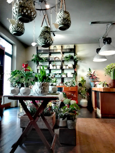 Botanica snc - Thumbnail