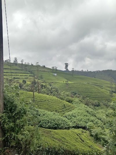 Photos of Sena Hotel