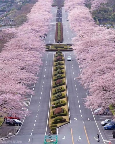 bus-station