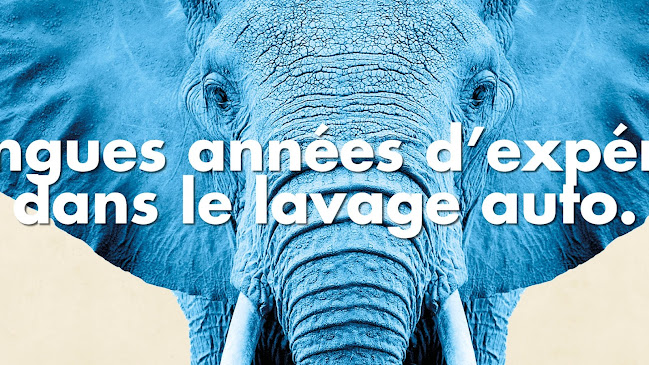 elephant bleu