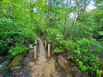 Collins Gulf at South Cumberland State Park