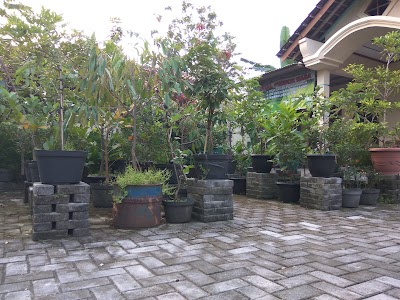 Photos of Stokis Nasa AD 213 Klaten
