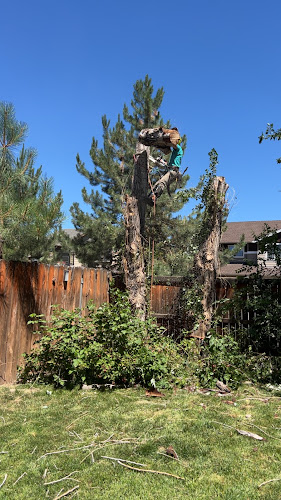 Stump'd Tree Professionals LLC