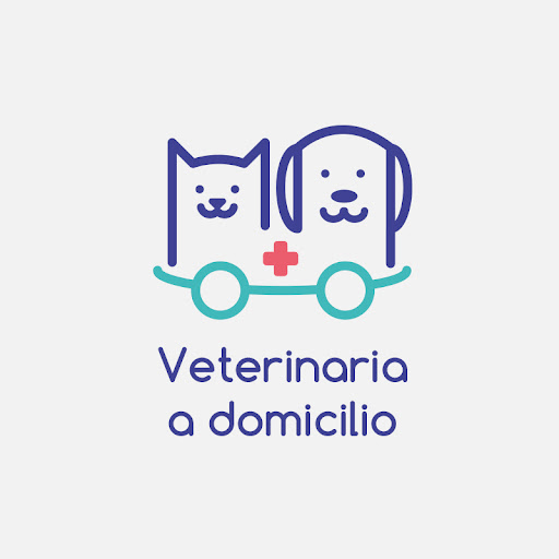 Servicio Veterinario a Domicilio 24H, Veterinaria en Casa, Dogtor Animal, PET CARE