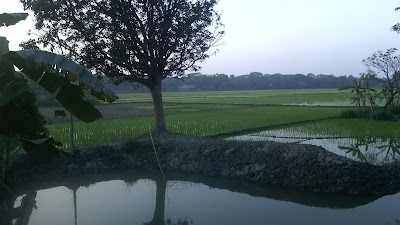 Photos of Moddo Para