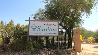 Photos of Sanitas Tea Garden