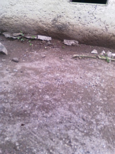 Photos of Papine Plaza