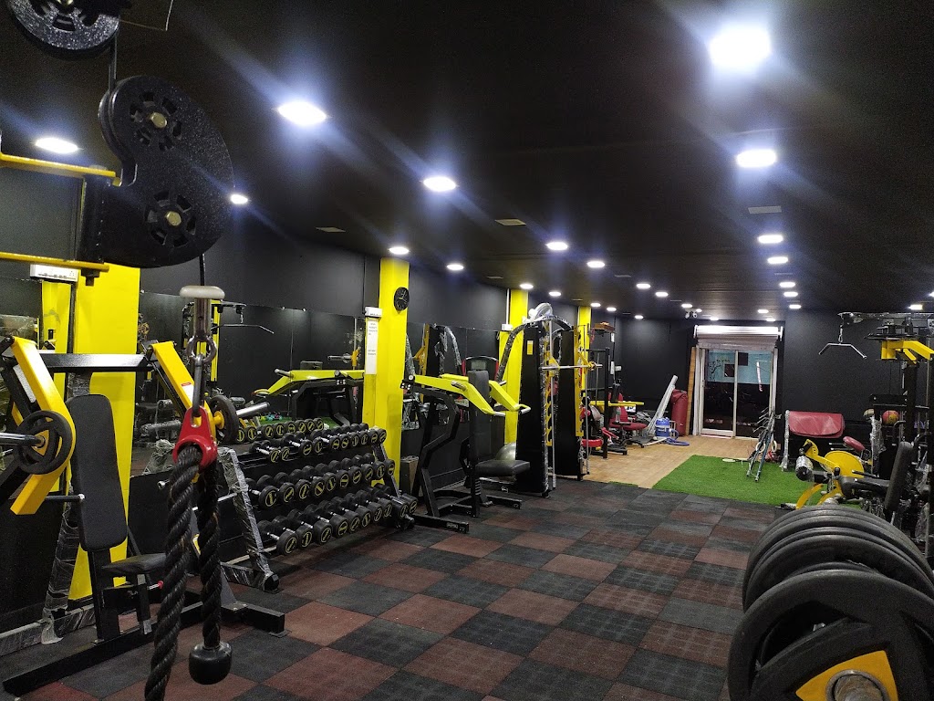 Contender Gym Jc Nagar