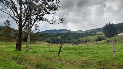 Photos of Fonda La Bodega