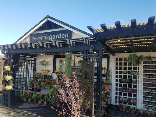 Devynn's Garden - Visual