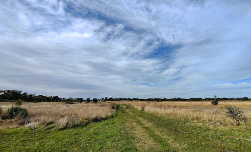 Seaford Wetlands Viewing Platform - Thumbnail