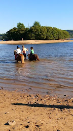 Photo n°14 de Vassivière à Cheval et gîte le ranch de Vassivière à Royère-de-Vassivière (Gîte)