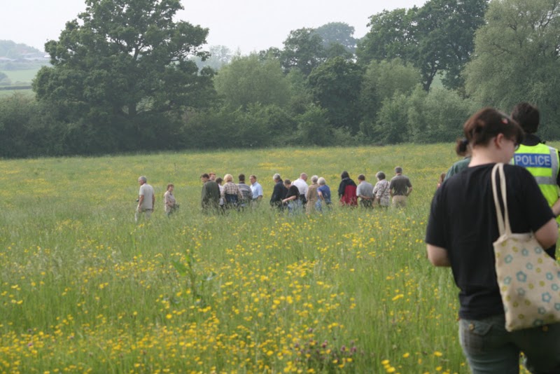 Wild Hollowfields photo 2