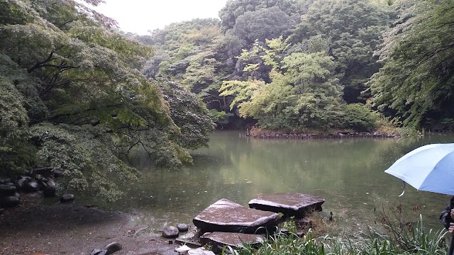 Université de Tokyo