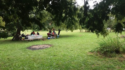 Photos of Camping Pino Mahuida