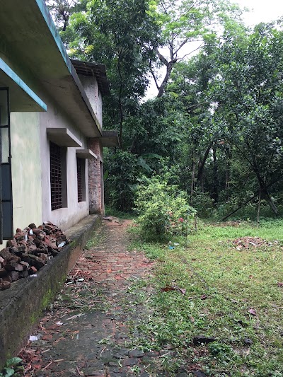Photos of Mosque ডাক্তার বাড়ী জামে মসজিদ