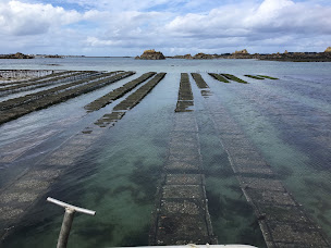 Photo n°5 de EARL Min Er Goas. Huîtres à Lanmodez à Lanmodez (Marché aux poissons et fruits de mer)