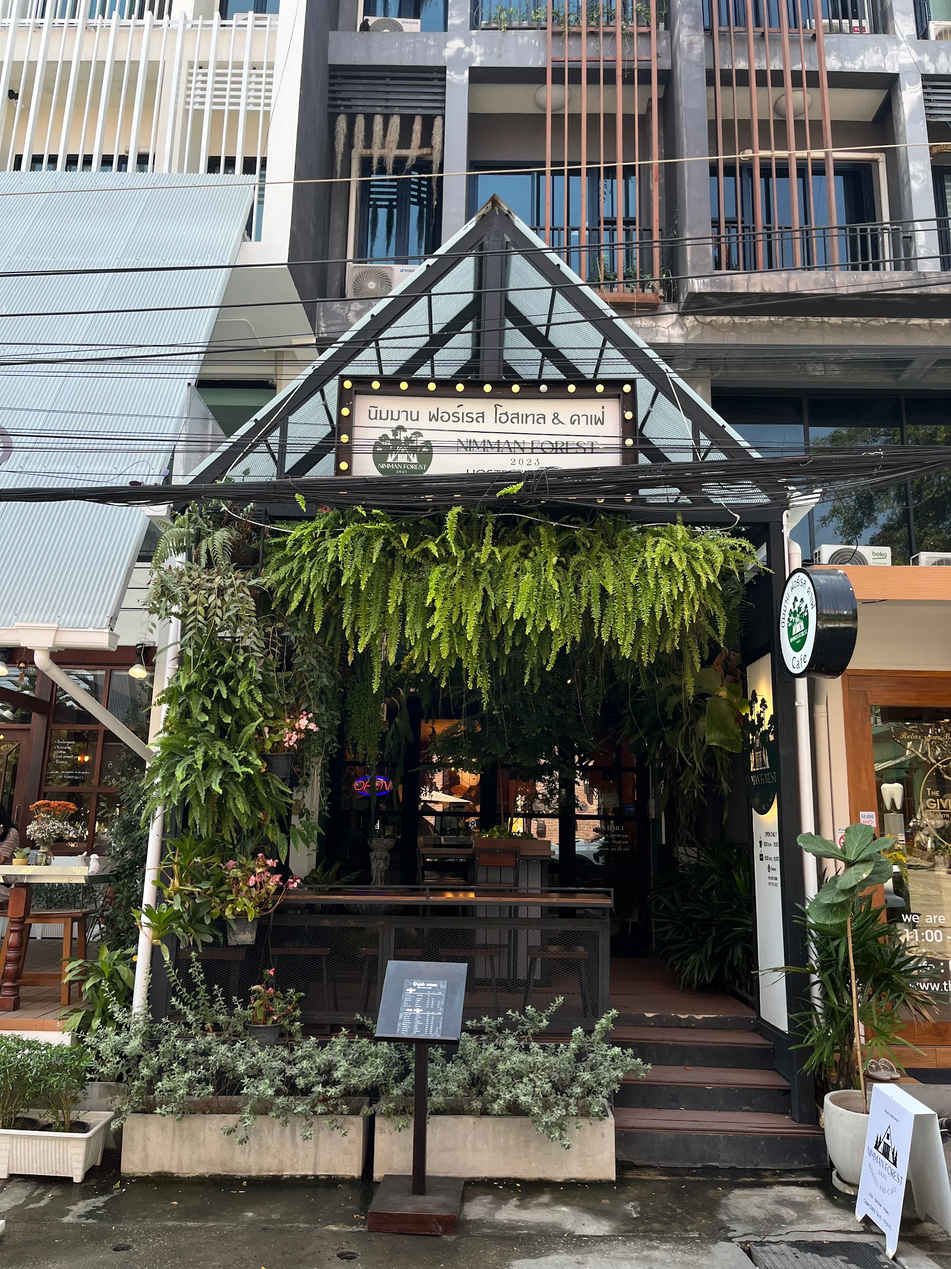 Nimman Forest Hostel
