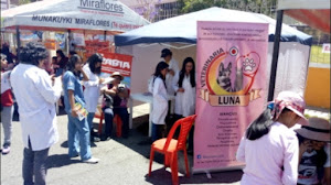 Veterinaria y Spa Canino Luna Arequipa 0