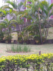 Mental One Psicologia - Unidade Alto da Boa Vista — foto 4