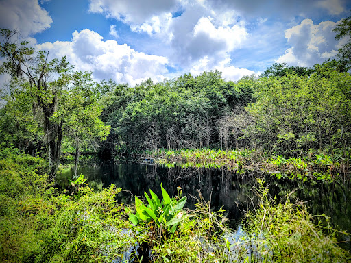 CREW Wildlife and Environmental Area - Thumbnail
