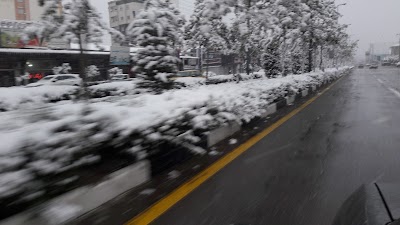 Photos of نرده استیل تک دکور