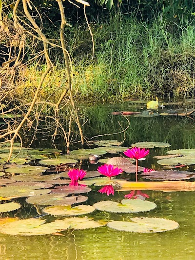 Photos of Eco Friendly Mahamodara River Safari