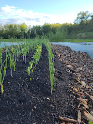 Photo n°13 de Les jardins de la Briquette à Burnhaupt-le-Haut (Restaurant)