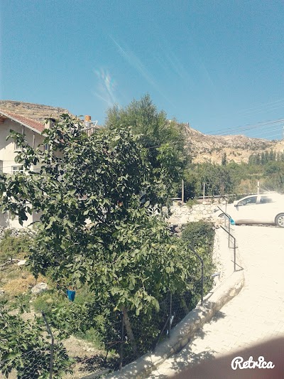 Başyayla