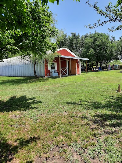 Four Points Ranch and Petting Zoo