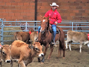 Photo n°1 de Union des Cavaliers Atlantic Western à Maché (Magasin de vêtements western)