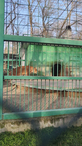 Градски парк Разград