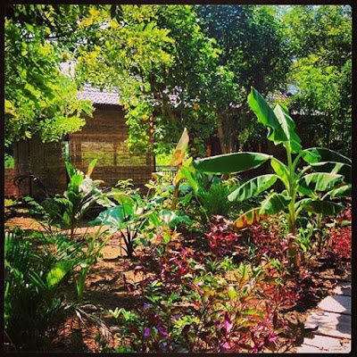 Photos of Serenity Yoga Lembongan