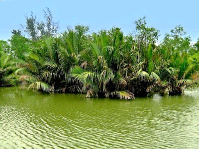 Photos of Shahriar Palace