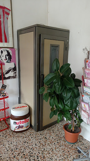 Bar Barigozzi - Visual