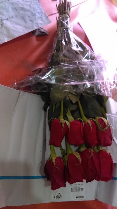 Photos of Amazon Flower