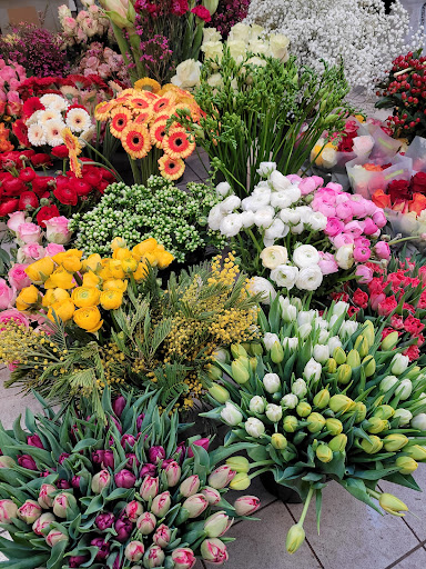 Blumen Scheumann - Visual