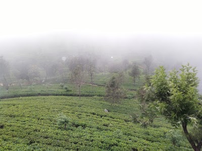 Photos of හපුතලේ නැරඹුම් මධ්&zwj;යස්ථානය