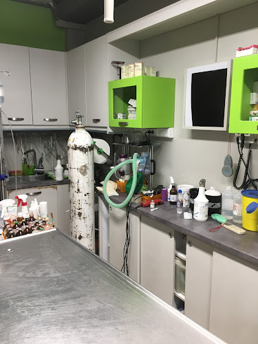 Ξανθουδάκης Χαράλαμπος Κτηνίατρος