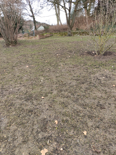Historic cemetery at the St. Peter's Church - Thumbnail