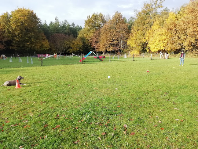 Commentaires et avis sur Club canin E.C.A.V 72 Education Des Chiens Actifs Et Visiteurs 72
