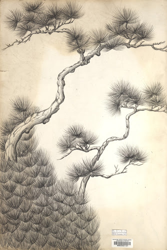 Wimbledon Acupuncture and Herbs Phone number