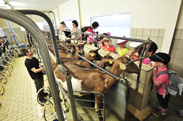 La Ferme la Borie D'imbert