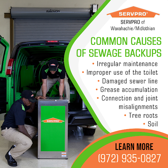 Commercial Sewage Cleanup